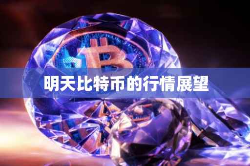 明天比特币的行情展望