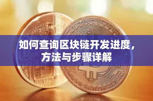 如何查询区块链开发进度，方法与步骤详解