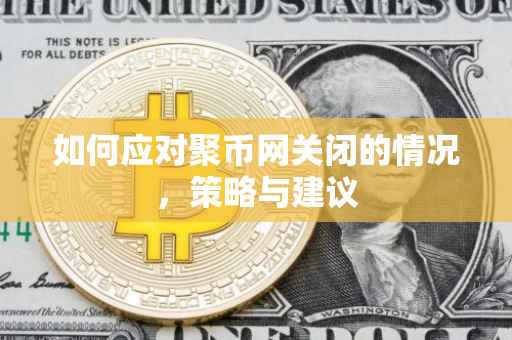 如何应对聚币网关闭的情况，策略与建议