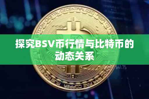 探究BSV币行情与比特币的动态关系