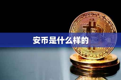 安币是什么样的