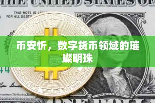 币安忻，数字货币领域的璀璨明珠