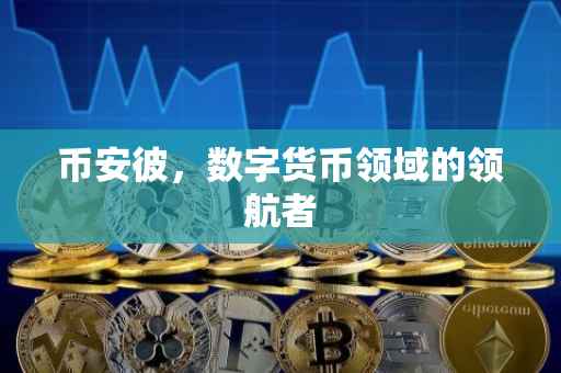 币安彼，数字货币领域的领航者