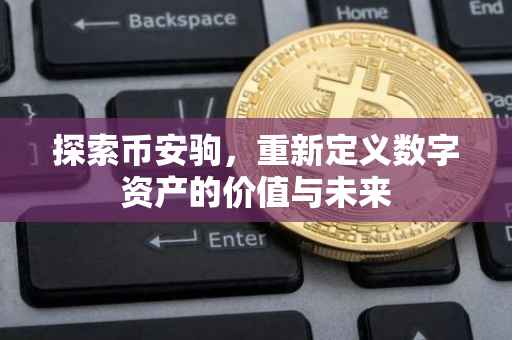 探索币安驹，重新定义数字资产的价值与未来