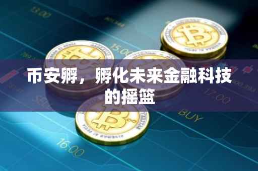 币安孵，孵化未来金融科技的摇篮
