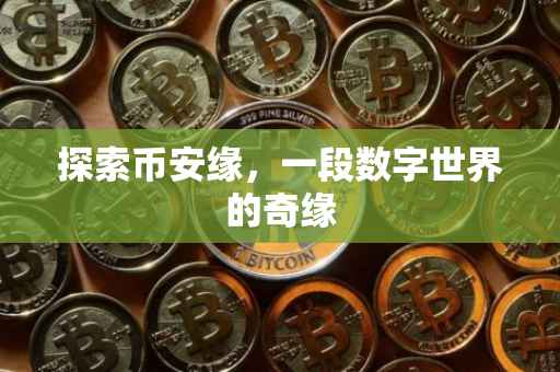 探索币安缘，一段数字世界的奇缘