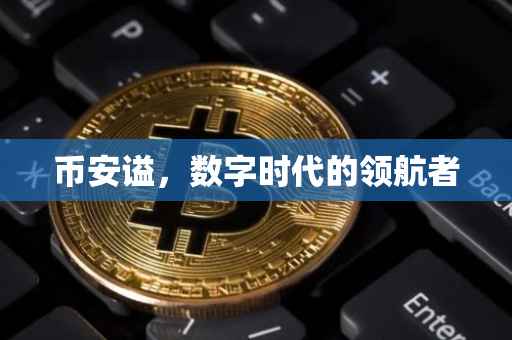 币安谥，数字时代的领航者