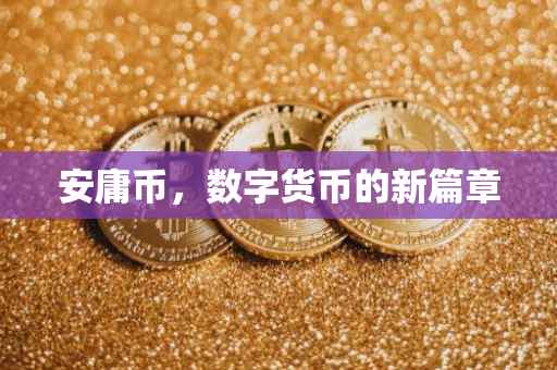 安庸币，数字货币的新篇章