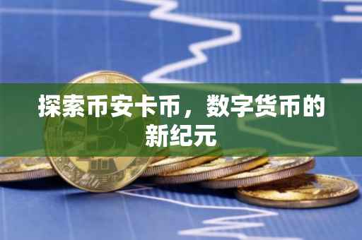 探索币安卡币，数字货币的新纪元