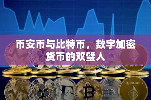 币安币与比特币，数字加密货币的双璧人