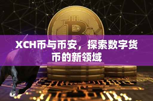 XCH币与币安，探索数字货币的新领域