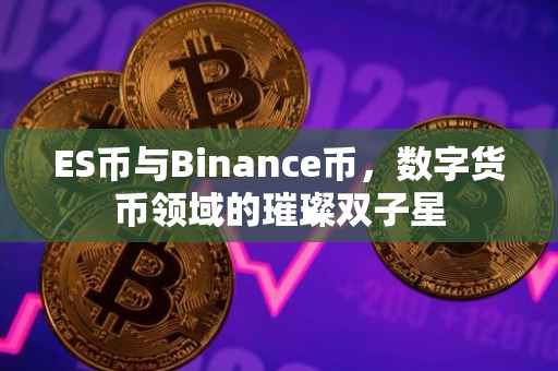 ES币与Binance币，数字货币领域的璀璨双子星