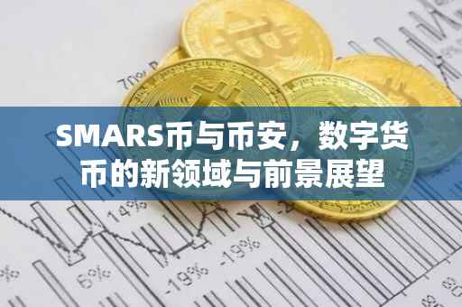 SMARS币与币安，数字货币的新领域与前景展望