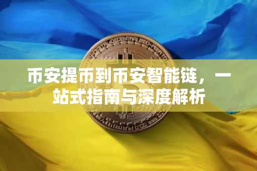 币安提币到币安智能链，一站式指南与深度解析