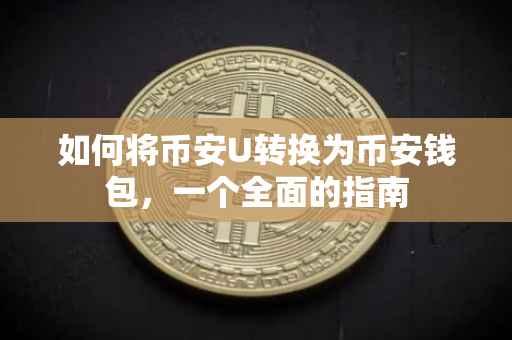 如何将币安U转换为币安钱包，一个全面的指南