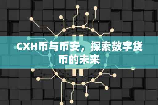 CXH币与币安，探索数字货币的未来