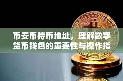 币安币持币地址，理解数字货币钱包的重要性与操作指南