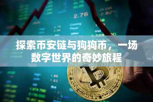 探索币安链与狗狗币,一场数字世界的奇妙旅程