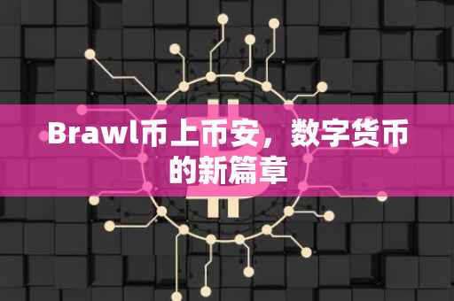Brawl币上币安，数字货币的新篇章