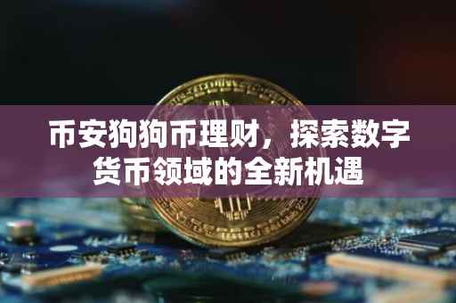 币安狗狗币理财，探索数字货币领域的全新机遇
