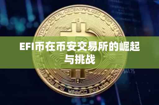 EFI币在币安交易所的崛起与挑战