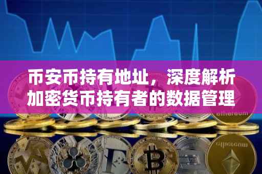 币安币持有地址，深度解析加密货币持有者的数据管理