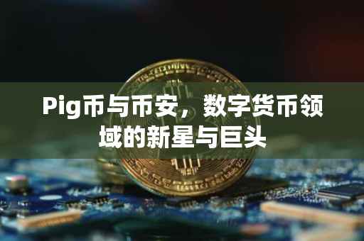 Pig币与币安，数字货币领域的新星与巨头