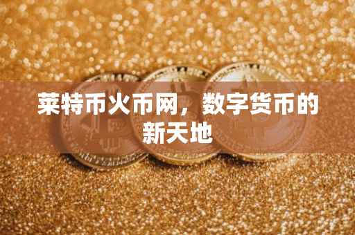 莱特币火币网，数字货币的新天地