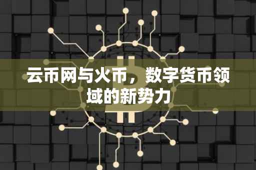 云币网与火币,数字货币领域的新势力