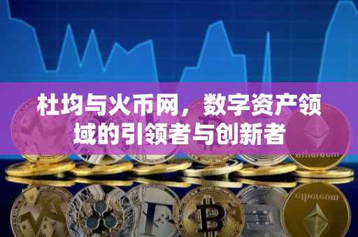 杜均与火币网,数字资产领域的引领者与创新者