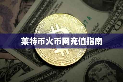 莱特币火币网充值指南