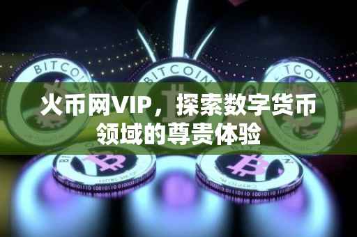 火币网VIP，探索数字货币领域的尊贵体验