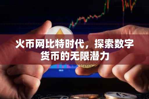 火币网比特时代，探索数字货币的无限潜力