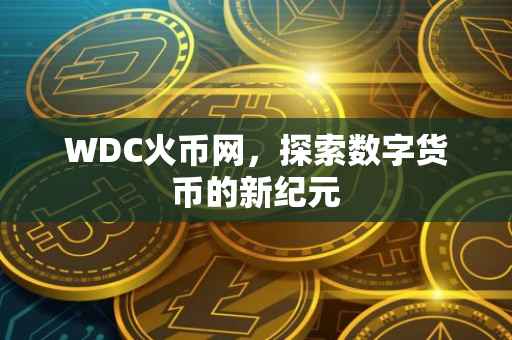 WDC火币网，探索数字货币的新纪元