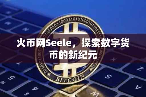 火币网Seele,探索数字货币的新纪元