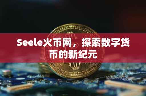 Seele火币网,探索数字货币的新纪元