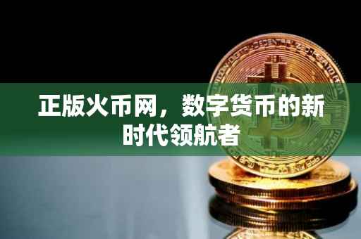 正版火币网,数字货币的新时代领航者