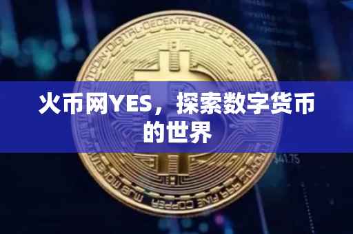 火币网YES，探索数字货币的世界