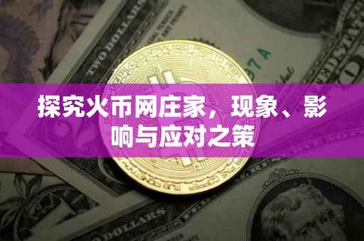 探究火币网庄家，现象、影响与应对之策