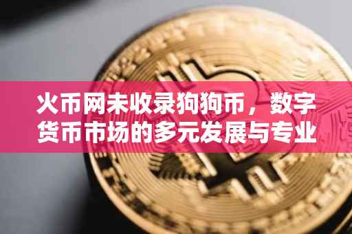 火币网未收录狗狗币，数字货币市场的多元发展与专业定位