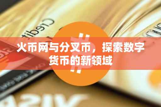 火币网与分叉币，探索数字货币的新领域