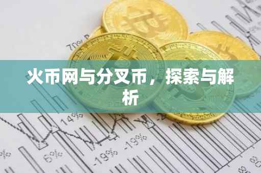 火币网与分叉币，探索与解析