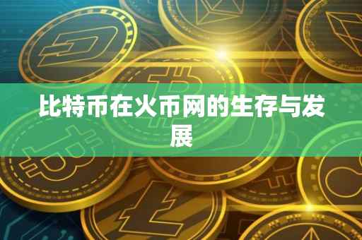 比特币在火币网的生存与发展
