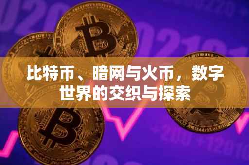 比特币、暗网与火币，数字世界的交织与探索