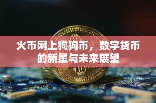 火币网上狗狗币，数字货币的新星与未来展望