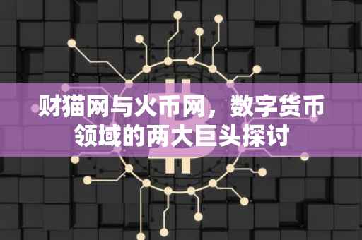 财猫网与火币网，数字货币领域的两大巨头探讨