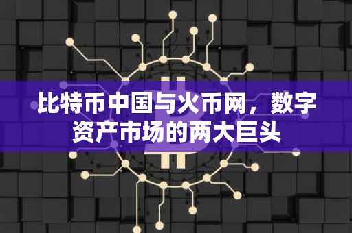 比特币中国与火币网,数字资产市场的两大巨头