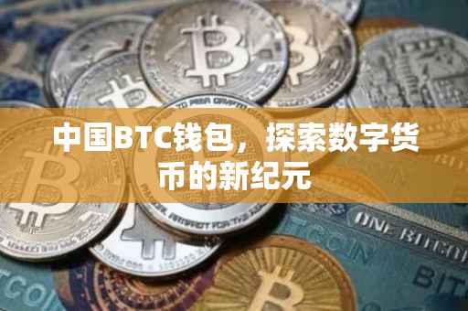 中国BTC钱包,探索数字货币的新纪元