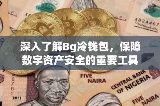 深入了解Bg冷钱包,保障数字资产安全的重要工具