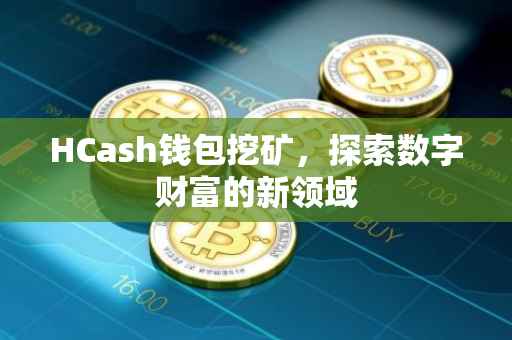 HCash钱包挖矿，探索数字财富的新领域